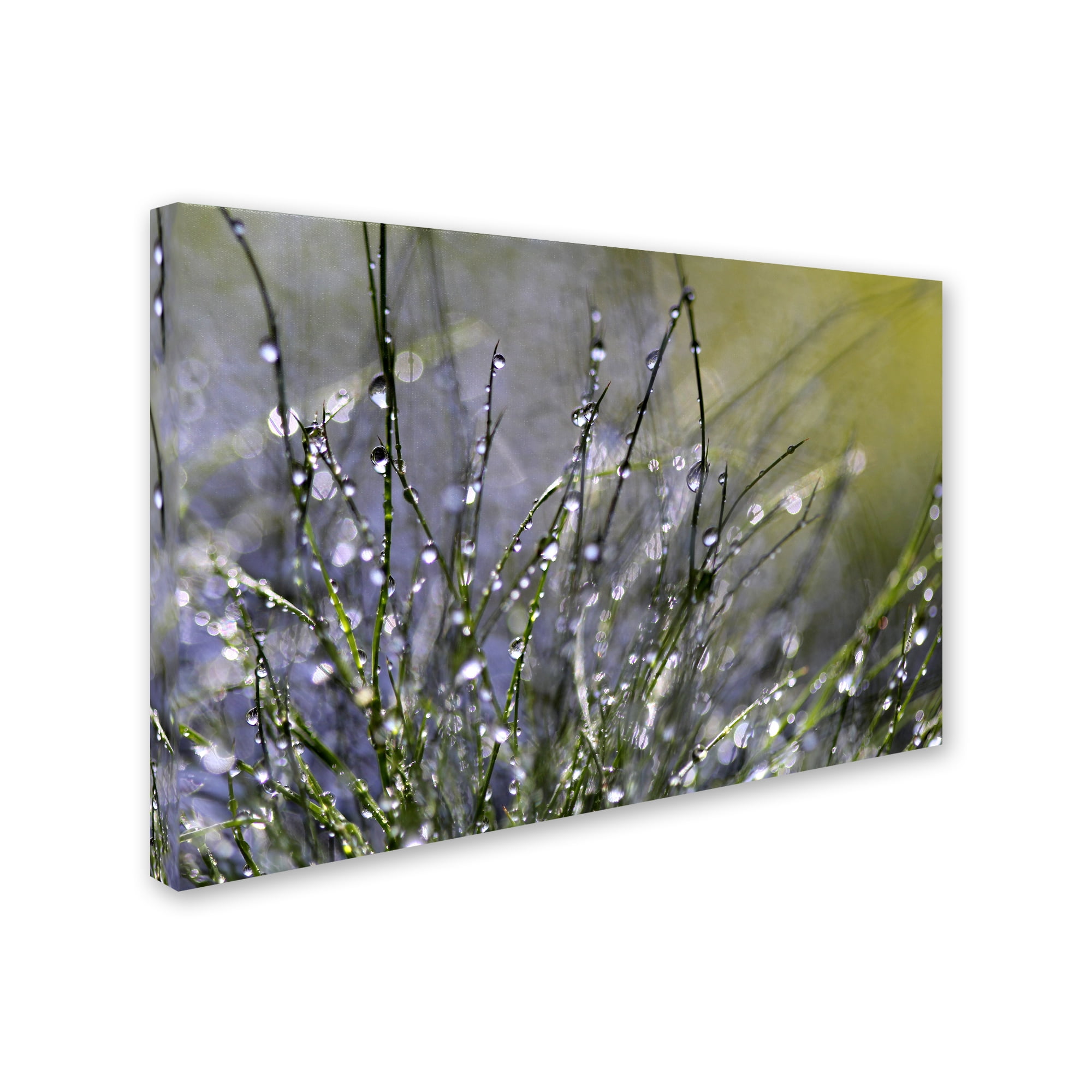 "Spring Morning" Canvas Art by Beata Czyzowska Young