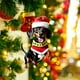 thumbnail image 1 of Adornos colgantes navideños, decoraciones navideñas, regalos navideños, 1 pieza de gorro navideño para perro salchicha, adorno para árbol de Navidad, colgante acrílico plano para decoración de regalo,, 1 of 6