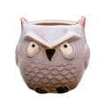 thumbnail image 2 of Succulent Plant Pot - Owl Pot Ceramic Flowing Glaze Base Cactus Plant Pot Flower Pot Container Planter with Drainage Hole Home Office Desk Garden Gift, 2 of 7