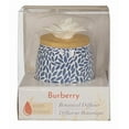 thumbnail image 3 of Diffuseur botanique ScentSationals - Burberry, 3 of 5