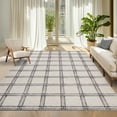 thumbnail image 2 of Hasoo Modern Plaid Non Slip Area Rug for Living Room Washable 5' x 7' Non Shedding Neutral Indoor Decor Carpet, Beige, 2 of 6