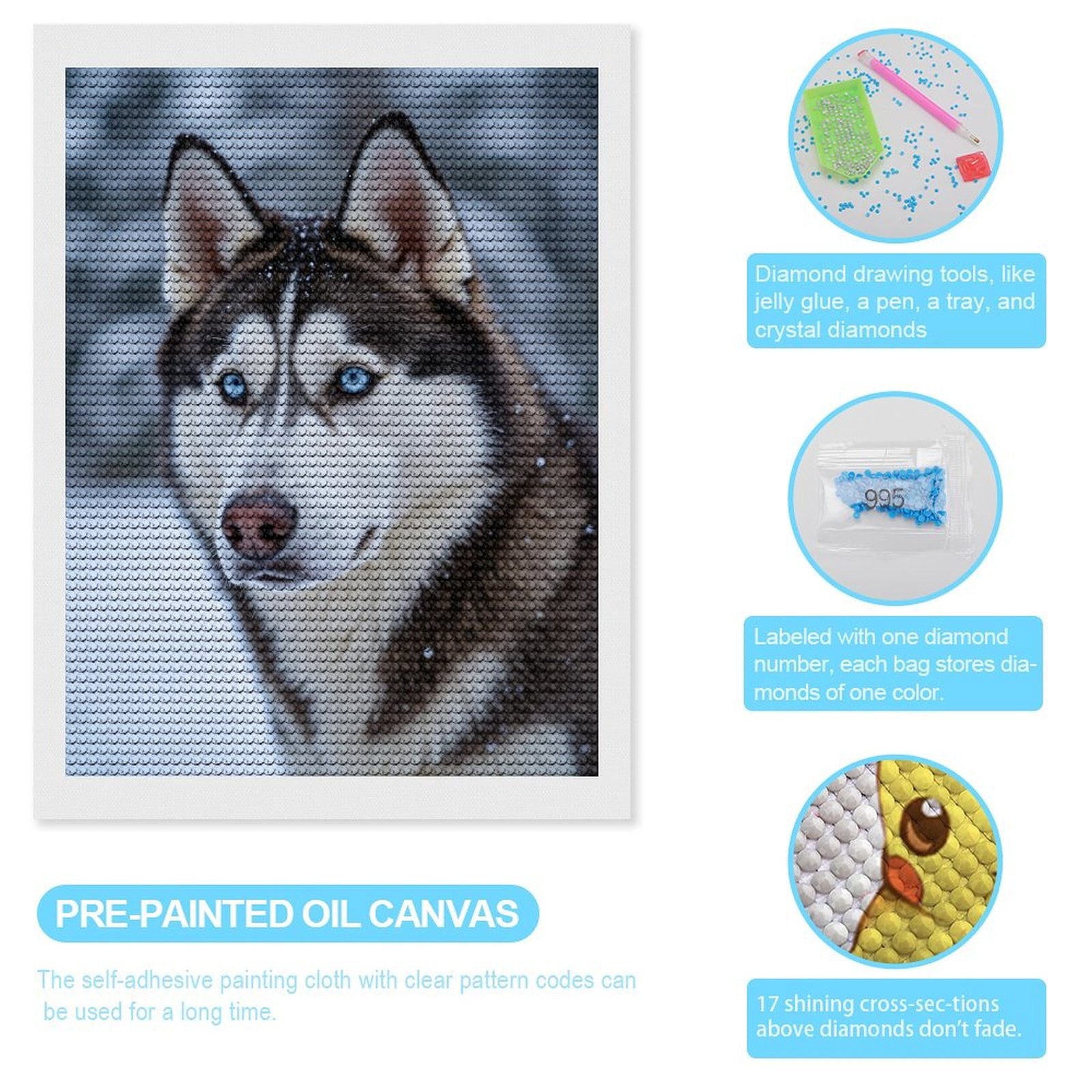 Diamond Art Kit for Adults, Snowy Husky Blue Eyes Winter Scene Diamond Painting for Adults Beginners, 5D DIY Diamond Art Painting Kits, Colorful Diamond Painting Craft for Home Decor 12x16