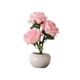 thumbnail image 1 of Lámpara de flores,Luz de de bonsái de mesa,Lámpara de mesa de rosas,Lámpara de de rosas Lámpara de de flores de rosas para fiesta en Estilo B, 1 of 8