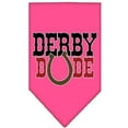thumbnail image 3 of Pet and Dog Bandana Screen Printed, "Derby Dude", 3 of 9