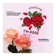 thumbnail image 4 of Mascarilla facial Tony Moly i'm rose vitalizante 21 g, 4 of 4