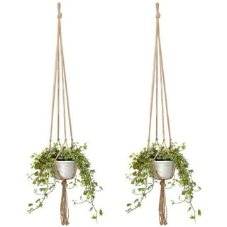 Plant Hanger,Wall Planters For Indoor Plants,2Pcs Wooden Wall Mounted Hanging  Plant Hooks 