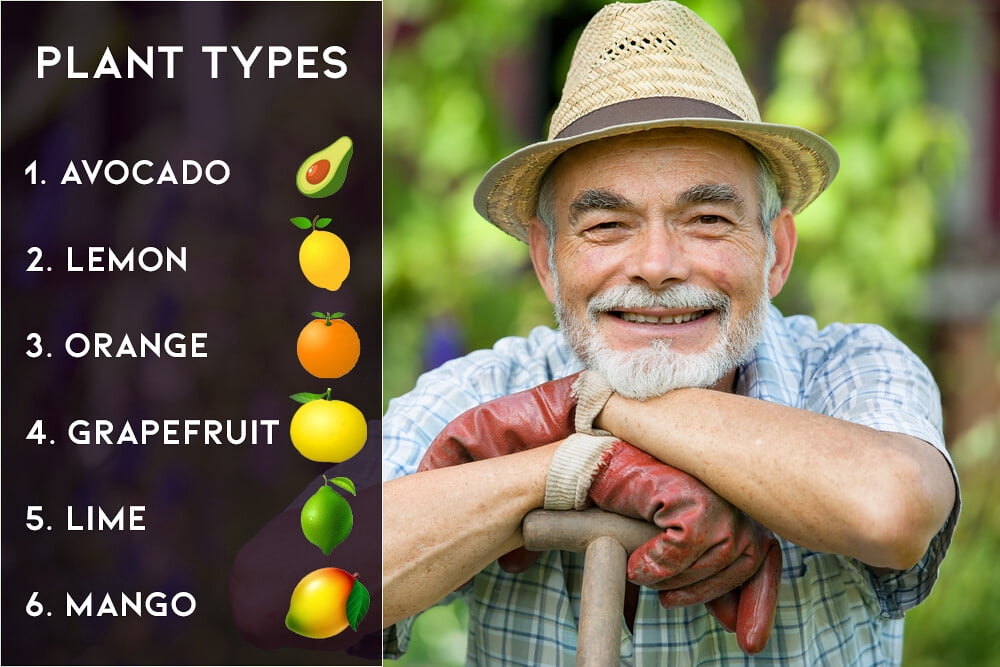 ⭐ Gardenera 6-4-6 Citrus and Avocado Professional Fertilizer - Cultivate Vibrant Citrus and Avocado Trees with Expert Nutrition - 10 QUARTS