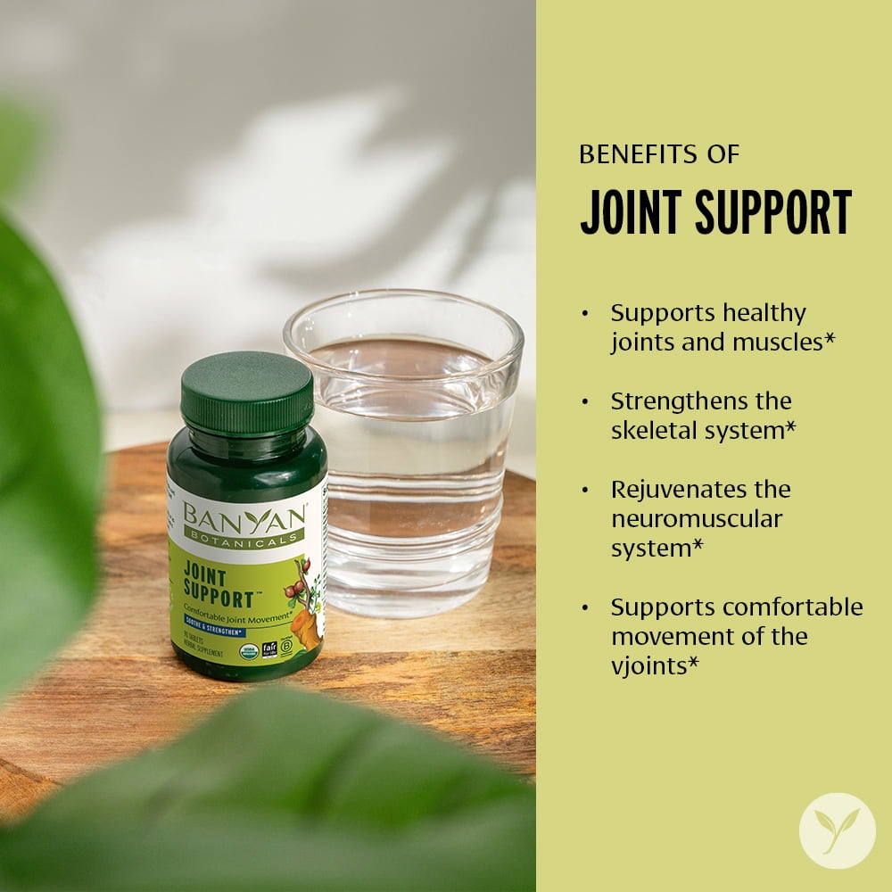Banyan Botanicals Joint Support – Organic Joint Supplement with Turmeric, Amla & Guggulu Resin – for Healthy Joints & Comfortable Movement* – 90 Tablets – Non-GMO, Sustainably Sourced, Vegan