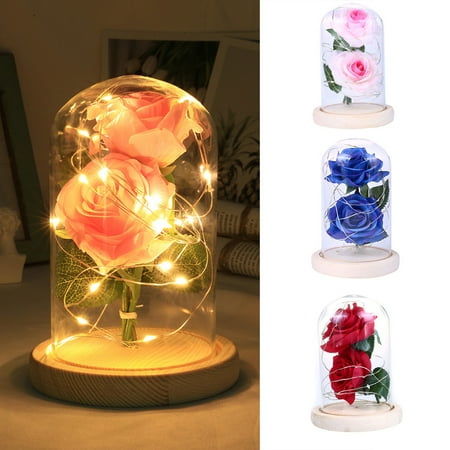 

NUZYZ Artificial Rose LED Glass Bottle Lamp Night Light Home Decor Valentine Gift
