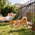 thumbnail image 2 of Short Dog Leash for Small Medium Dogs, Heavy Duty Training Lead with Traffic Handle, Nylon Rope for Close Control Walking, Durable Tangle Free Pet Tether for Safety Obedience 14Inch, 2 of 4