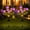 purple, variant on Maspost 7-Head Orange Solar Peony Flower Garden Stake Lights, LED Waterproof Outdoor Decorative Pathway Lights with Auto on/off for Yard Lawn Patio