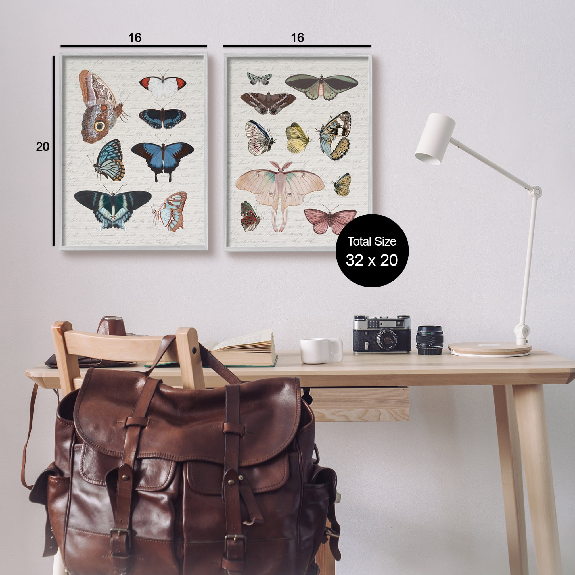 Stupell Industries Vintage Butterflies & Moths Animals & Insects Painting Gray Framed Art Print Wall Art, 16 x 20