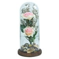 thumbnail image 1 of Rosas de cúpula de cristal brillante-regalo de vacaciones para mujeres Vhermosa CPB-YL641-1, 1 of 5