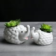 thumbnail image 4 of BToBackYard Garden Decor Animal Flowerpot Pot Bottle Cute Ceramic Tabletop Potted Lovely Decorations Cartoon Hedgehog Succulent, 4 of 14