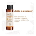 thumbnail image 3 of Shampoo Soapbox Collagen & Fruit Enzymes Repairing 473 ml, 3 of 4