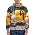 thumbnail image 2 of Lsque Pikmin Pattern Casual Men's Hoodie,Hooded Sweatshirt with Kangaroo Pocket,Pullover Hoodie-X-Large, 2 of 8