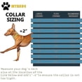 thumbnail image 3 of Collar de estrangulamiento para perro con cadena dorada, eslabón cubano sólido, resistente, resistente a las mordeduras, con hebilla de diseño segura y etiqueta de identificación en forma de B en blan, 3 of 5