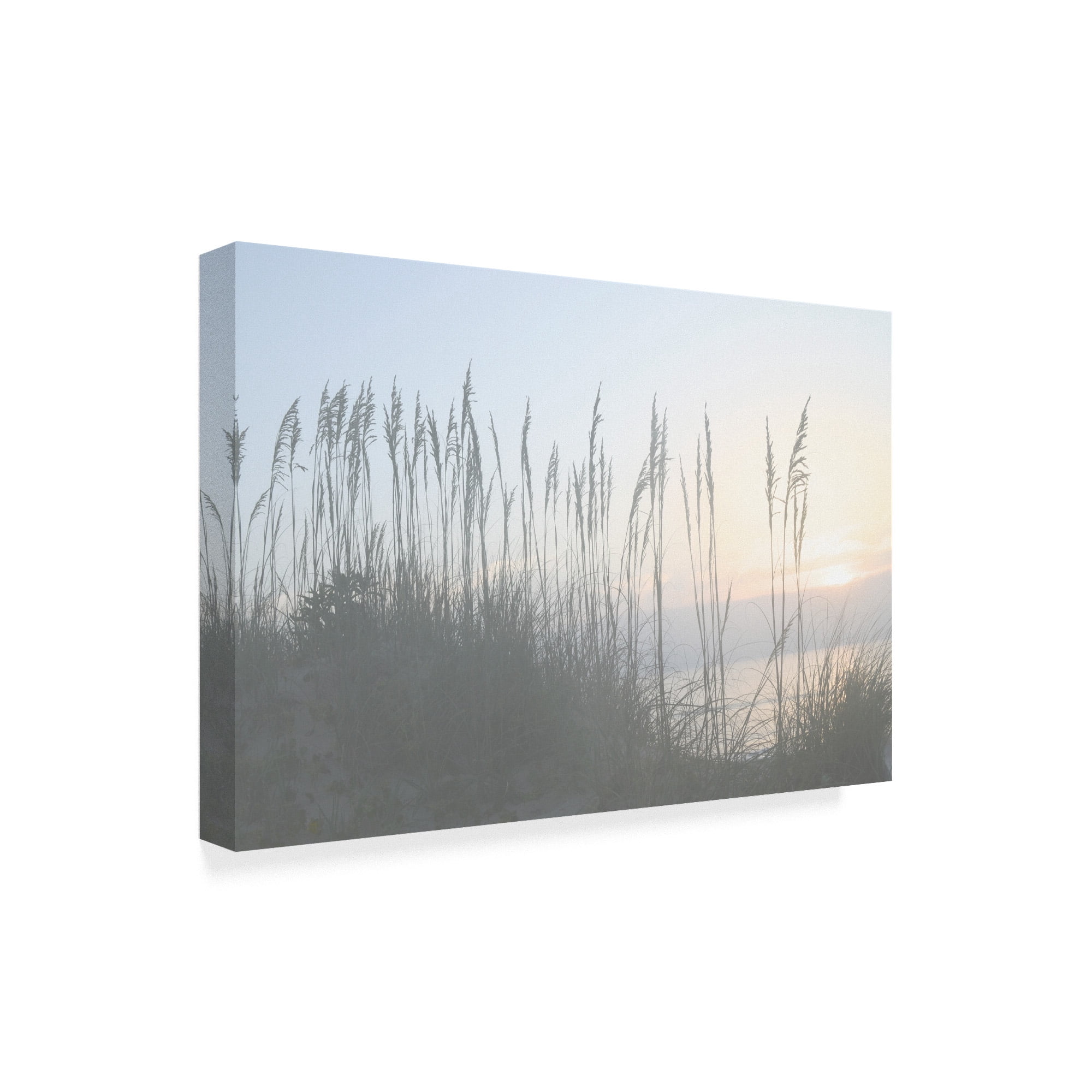Trademark Fine Art 'Morning Whisper I' Canvas Art by Sharon Chandler