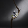thumbnail image 3 of Perfume Roberto Cavalli Just Cavalli Wild Heart EDT 90 ml para hombre, 3 of 3