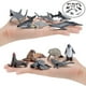 thumbnail image 3 of 12 piezas de simulación de tiburón ballena estatuilla Zulema  estatuilla de ballena, 3 of 8