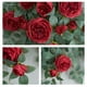 thumbnail image 4 of Flor colgante de rosa artificial para decoración del hogar, la pared y el jardín, 4 of 10