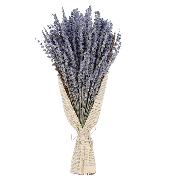 YWOAGH Dried Flower Bouquet Natural Aromatherapy Elegant Home Decoration for Weddings Diy Events Floral Arrangement for Stylish Living Spaces Desktop Ornament Purple