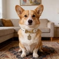 thumbnail image 4 of Dvkptbk dog collar Pet Necklace Dog Collar with Bow Collar WithSoft Nylon Puppy Collar for Small Medium Large Dogs Fashion Pet Accessories Safety Buckle, 4 of 7