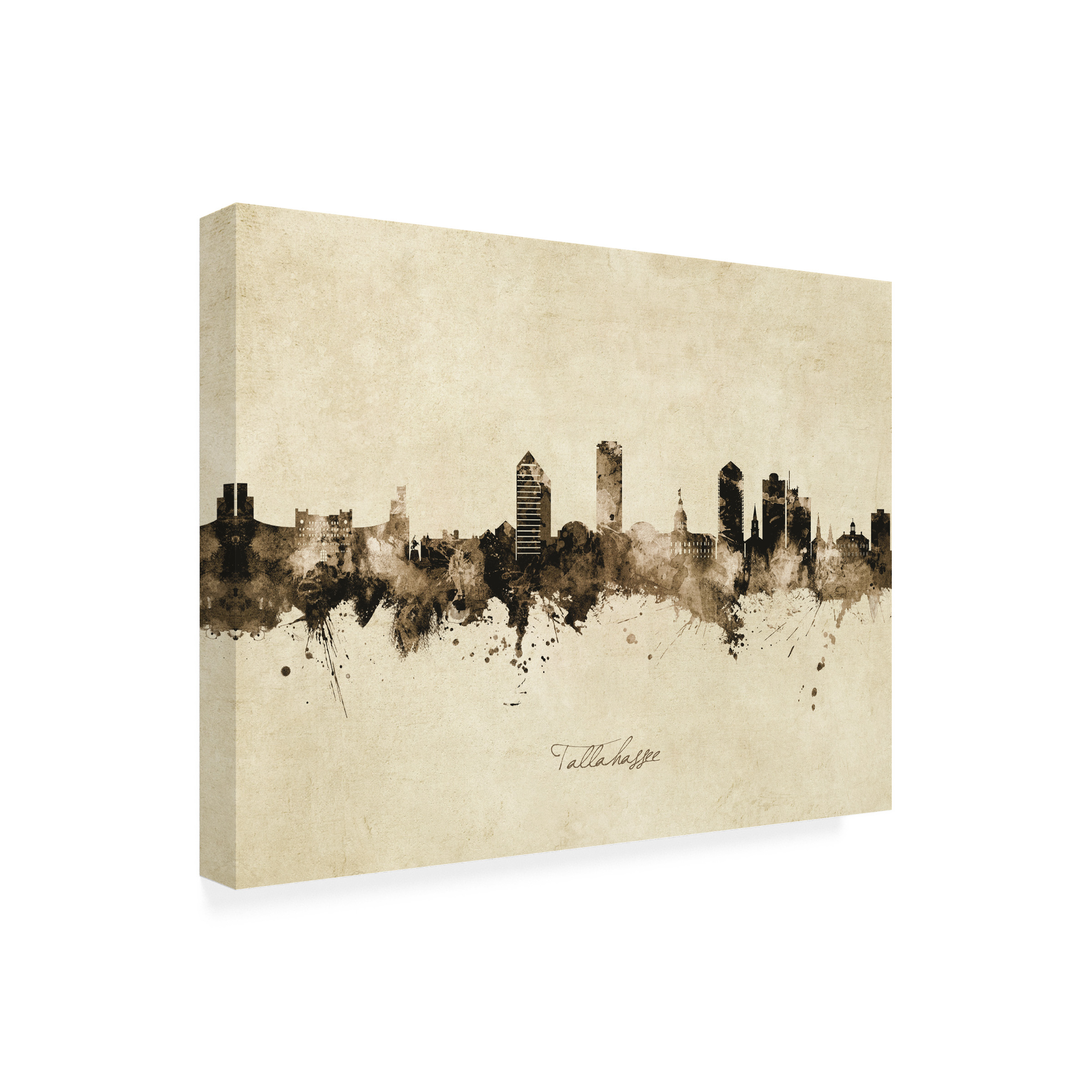 Michael Tompsett 'Tallahassee Florida Skyline Vintage' Canvas Art