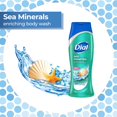 Dial Skin Therapy Enriching Body Wash, Sea Minerals 16 oz (Pack of 2