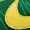 Apple Green/Yellow Strike, variant on NIKE GRADE SCHOOL Sabrina 2 OR GS "Oregon" HQ4515 300 HQ4515 300 from Stadium Goods