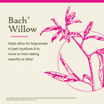 thumbnail image 3 of Bach Original Flower Remedies, Willow - 20 mL Dropper, 3 of 6