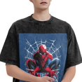 thumbnail image 2 of Spider-Man Vintage Washed Drop Shoulder Short Sleeve T-Shirt - Iron On, 2 of 7