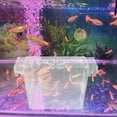 thumbnail image 4 of unbranded Caja De Crianza Y Aislamiento Para Peces Con Separador Para Acuario Doméstico, 4 of 8