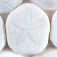 thumbnail image 3 of Mahan, Kathy 12x12 Black Modern Framed Museum Art Print Titled - Seashells I, 3 of 5