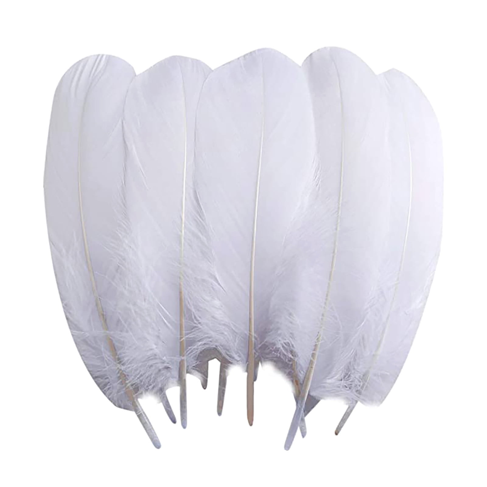 White Feathers for Crafting (8 grams)