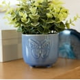 thumbnail image 5 of Mainstays Tabletop Artificial Baby Eucalyptus Plant in Blue Ceramic Butterfly Pot, 3", 5 of 6