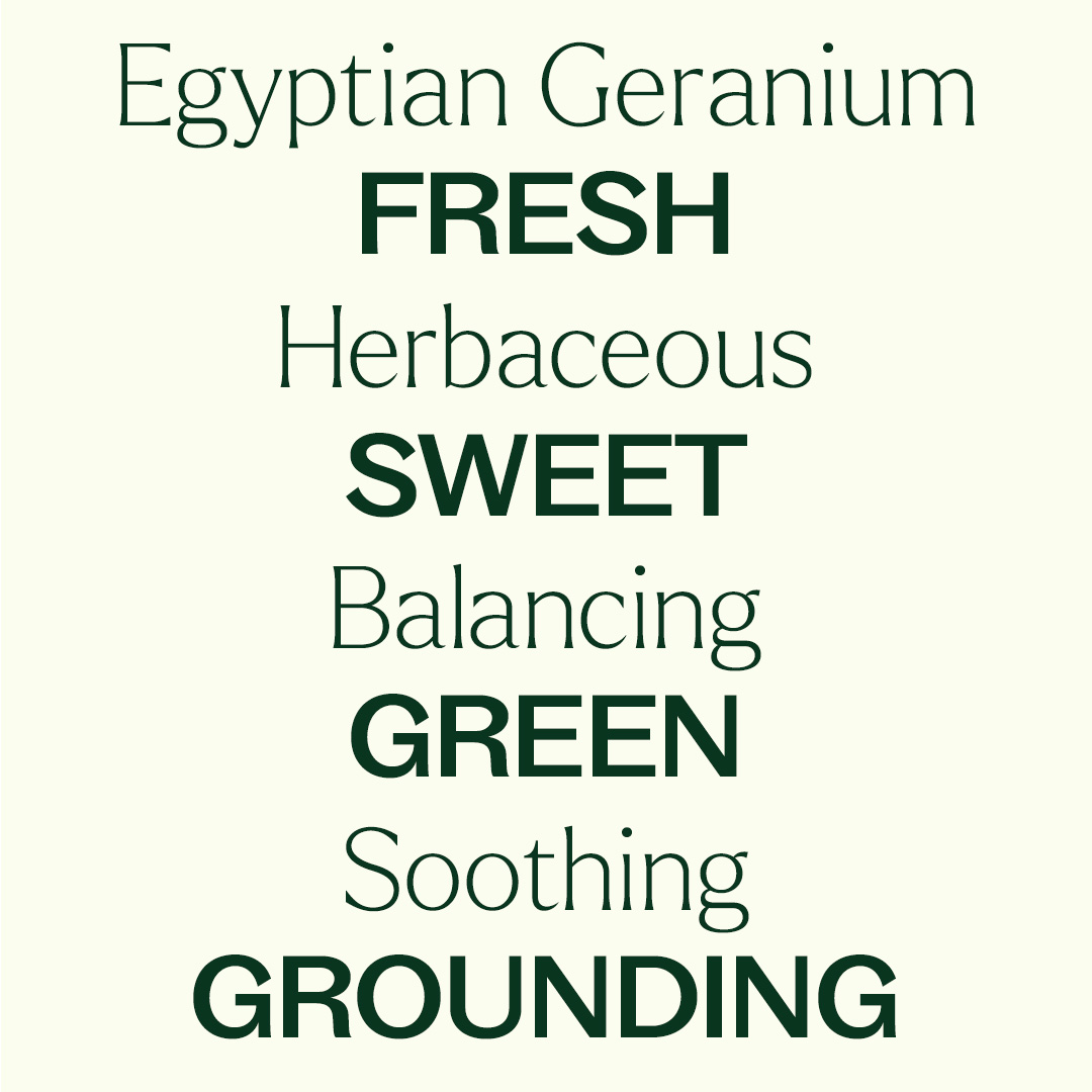 Plant Therapy Organic Egyptian Geranium Essential Oil 100% Pure, USDA Certified Organic, Undiluted, Natural Aromatherapy 10 mL (1/3 oz)