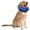 Blue, variant on Inflatable Dog Cone Collar Alternative,Inflatable Pet Neck E Collar - Beauty -lick PVC Neck Headband Collar(L,Blue)