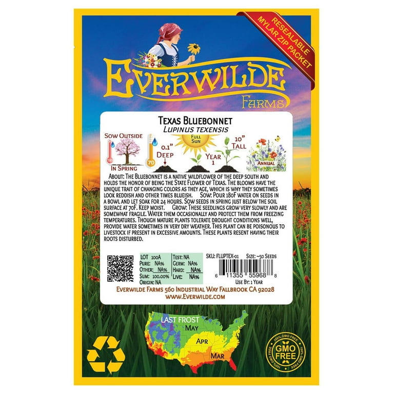 Everwilde Farms - 50 Texas Bluebonnet Native Wildflower Seeds - Gold Vault Jumbo Bulk Seed Packet