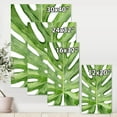 thumbnail image 4 of Designart Green Monstera Leaf Tropical Palm Botanical Detail Canvas Wall Art, 4 of 4