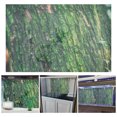 thumbnail image 3 of MLINS Autocollant Fond d'Aquarium Motif Écorce d'Arbre 1 Ensemble, 3 of 8