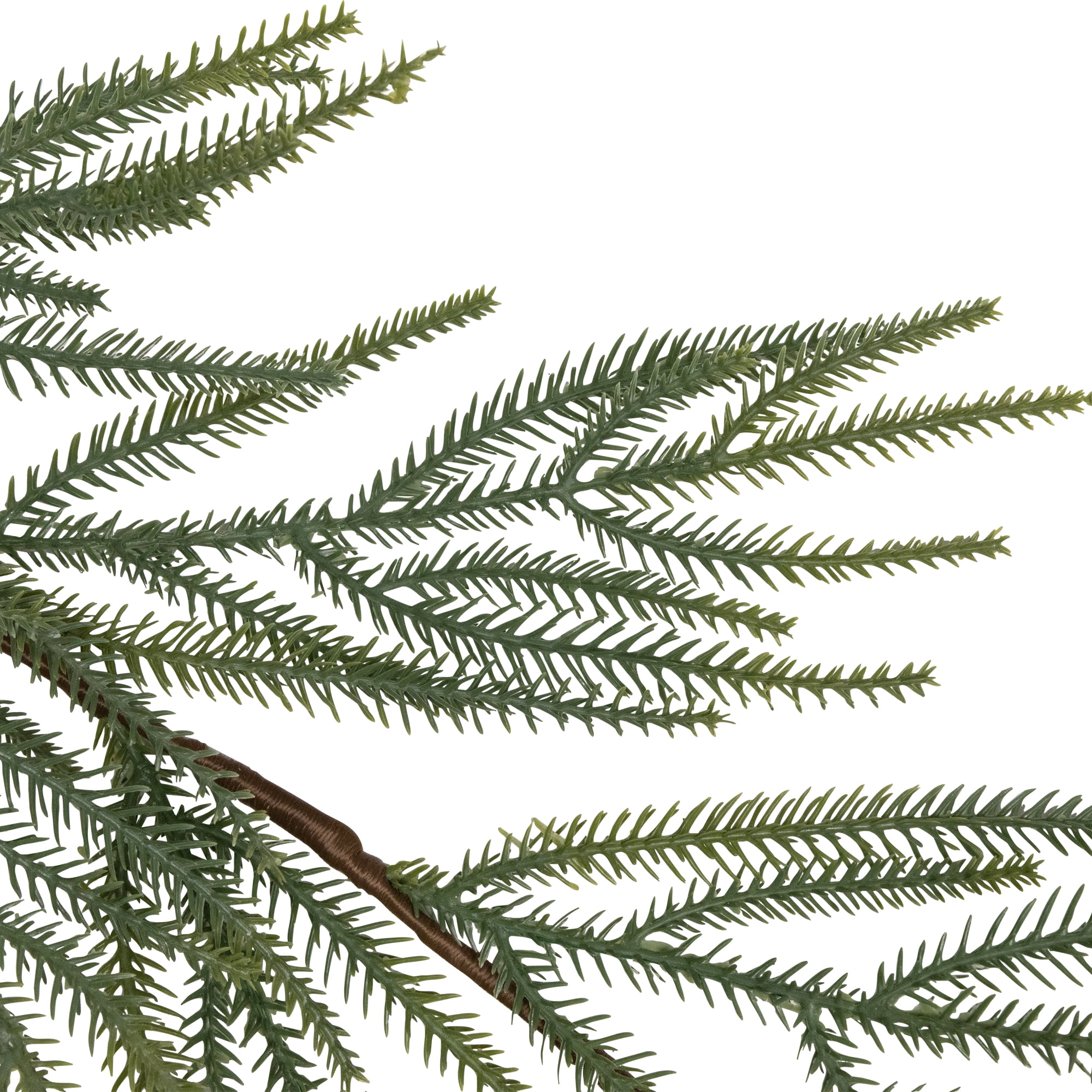 Northlight Norfolk Pine Artificial Christmas Garland - 7' - Unlit