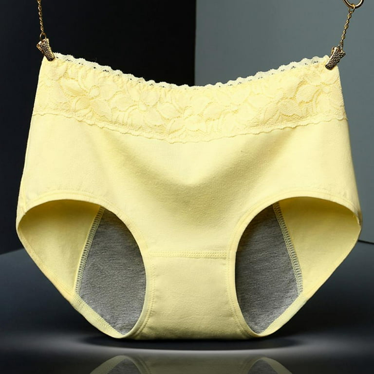 Women Menstrual Period Briefs Leakproof Panties Postpartum Bleeding  Underwear 