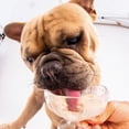 thumbnail image 3 of Dogsters Ice Cream Style Cheesy Bac'n Flavor 3.5 fl oz Cup, 4 Count, 3 of 6