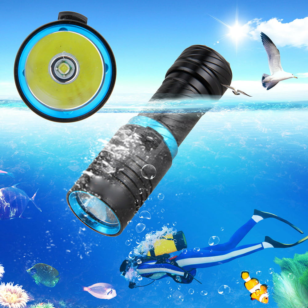 Blue Underwater Scuba Dive Snorkeling LED Light Torch Flashlight 