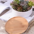 thumbnail image 2 of Succulent Planter - Round, 2 of 4