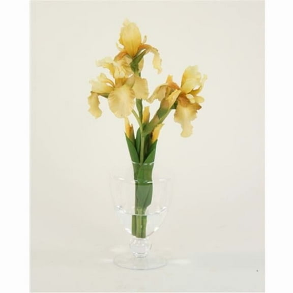 Distinctive Designs International  16081 Waterlook Light Yellow Bearded Iris In Glass Urn
