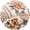 Beige Floral, variant on Virtu 9 Lbs 79" x 94" Korean Queen Size MInk Blanket, 2 Ply Warm Heavyweight Reversible Raschel Winter Bed Blankets, Brown