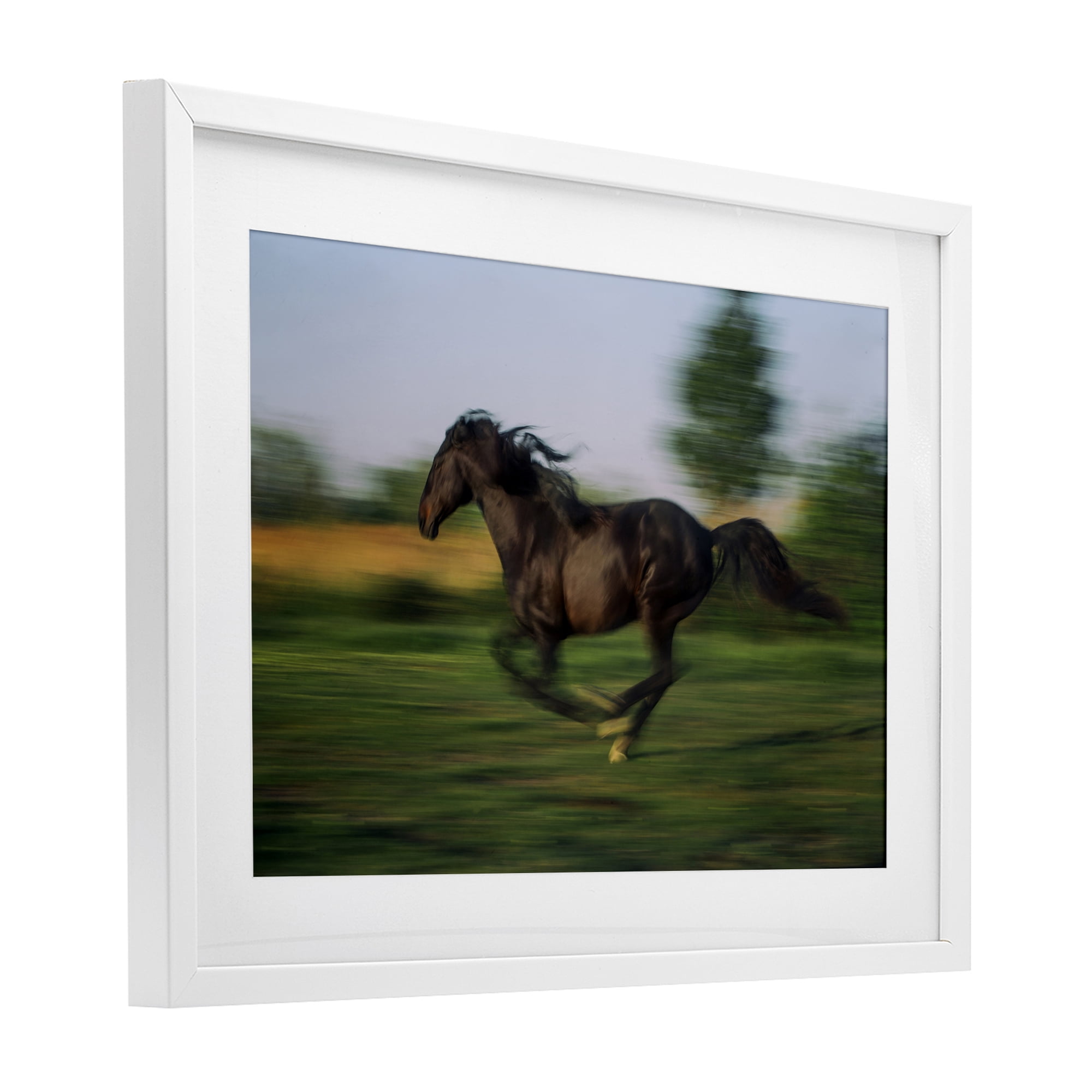 Stupell Industries Dashing Camargue Racehorse White Framed Print Under Glass, design by Scott Stulberg