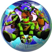 Teenage Mutant Ninja Turtles 6 inch Playball(Selections May Vary)